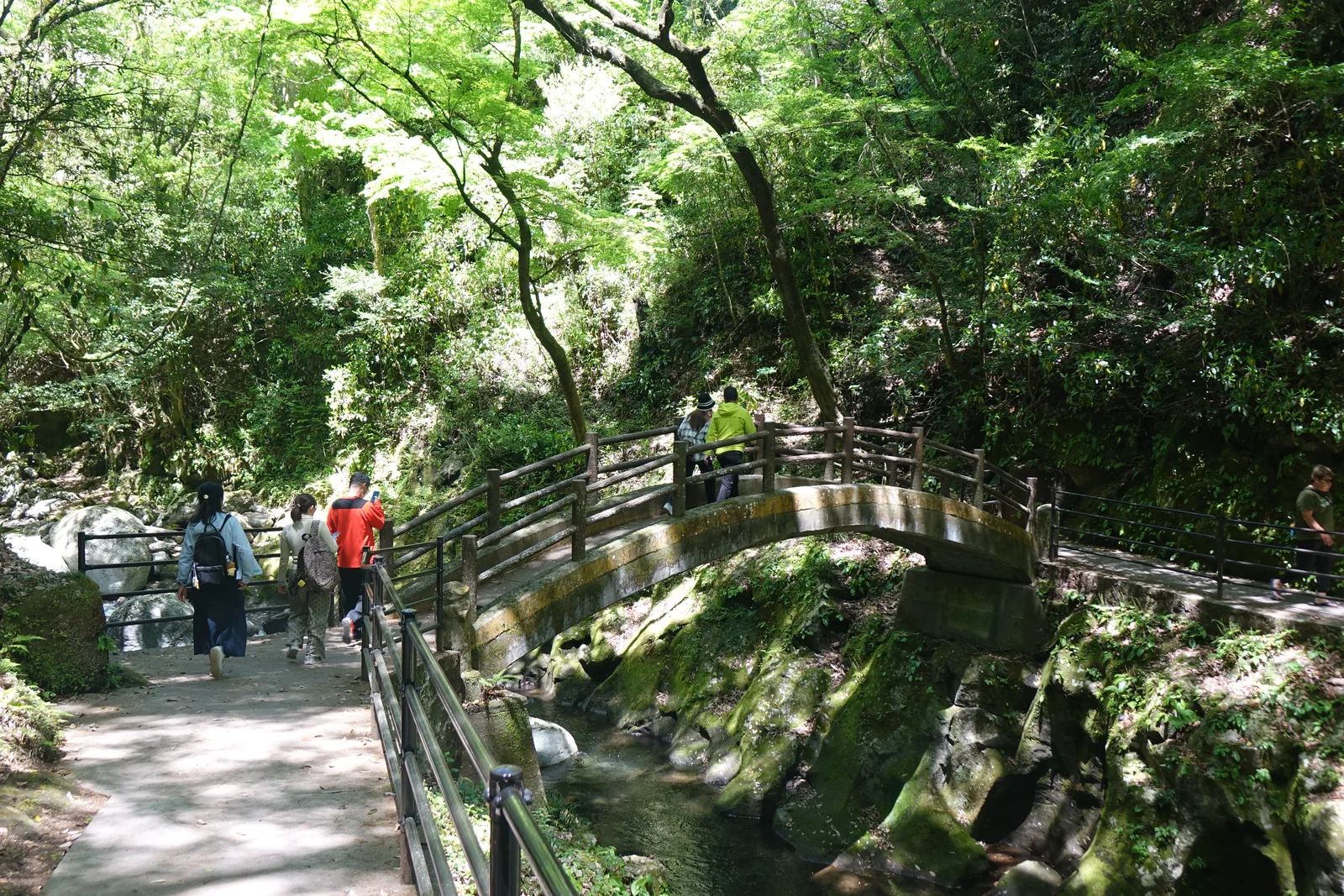 岩戶川渓谷的遊步道與跨溪的石造太鼓橋