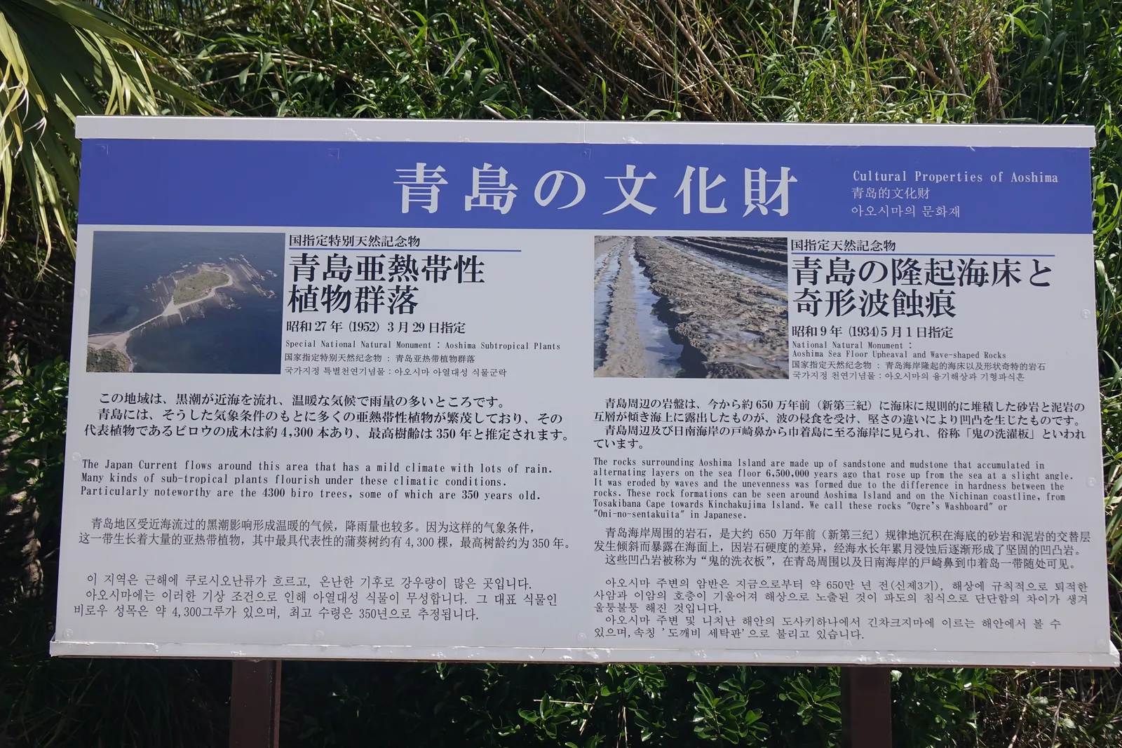 海岸邊的青島文化財案內板